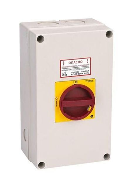Выключатель-разъединитель главный аварийный 3п 100А IP65 закрытого исп. с замком SE MSD100311R