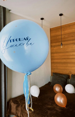 Шар с шаром внутри на девичник №1025