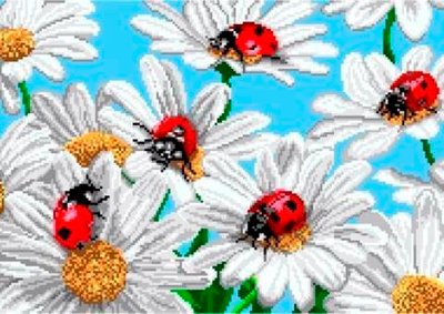 К-1010 На цветочном лугу