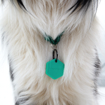 Умный трекер PetKa (GPS BLE)