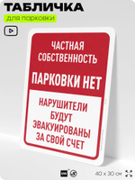 Табличка для парковки "Частная собственность, парковки нет", для дома, офиса, организаций, 40х30 см, Silver Plane x Айдентика Технолоджи