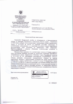 Томаты Черри красные Эко Культура шт / 250 гр