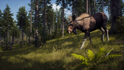 Way of the Hunter (для ПК, цифровой код доступа)