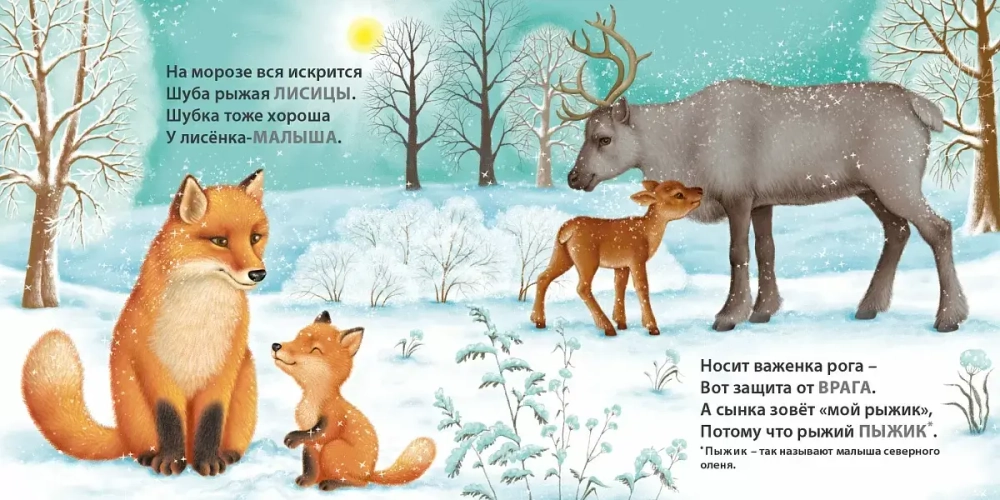 Книжки - картонки. Мамы и малыши. Дикие животные. Загадки - рифмы