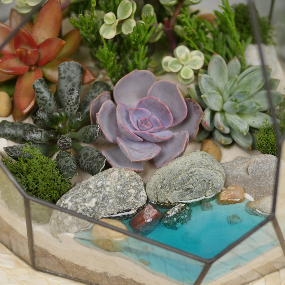 Готовый флорариум с суккулентами Hill с озером