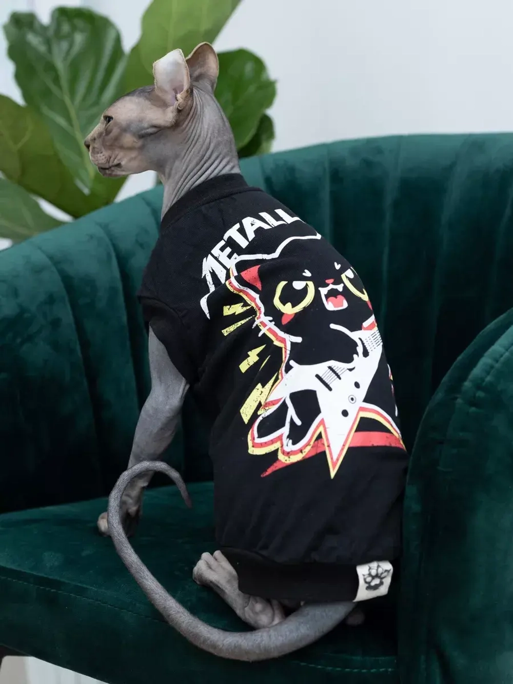 Одежда для кошек сфинкс