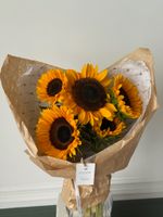 Букет из подсолнухов 5 шт