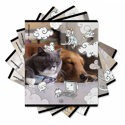 Тетрадь А5 48л кл. Erich Krause "Dream Cat", пласт.обл.,MIX-PACK