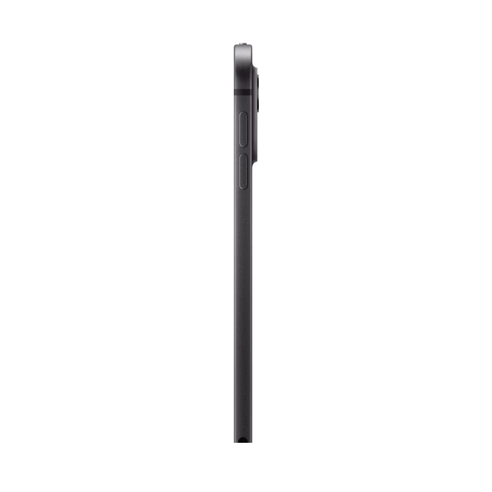 Apple iPad Pro 11 (2024) 2Tb Wi-Fi + Cellular with Standard glass (Space Black)