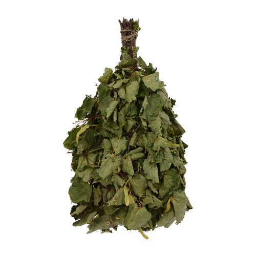 Веник липовый