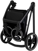 Детская коляска Roan Sol Flowers 3 в 1 с автокреслом Pituso Baesa Pro Black RSF/5002 Gray/Black