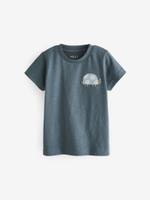 Футболка для мальчика Next N40-086, 4 шт., Мятный, Серый, Белый