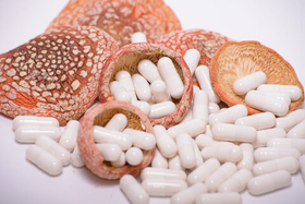 Мухомор красный в капсулах