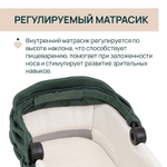 Коляска Chicco Bellagio 3 в 1 с автокреслом Kory Plus Amber Glow Fir Tree