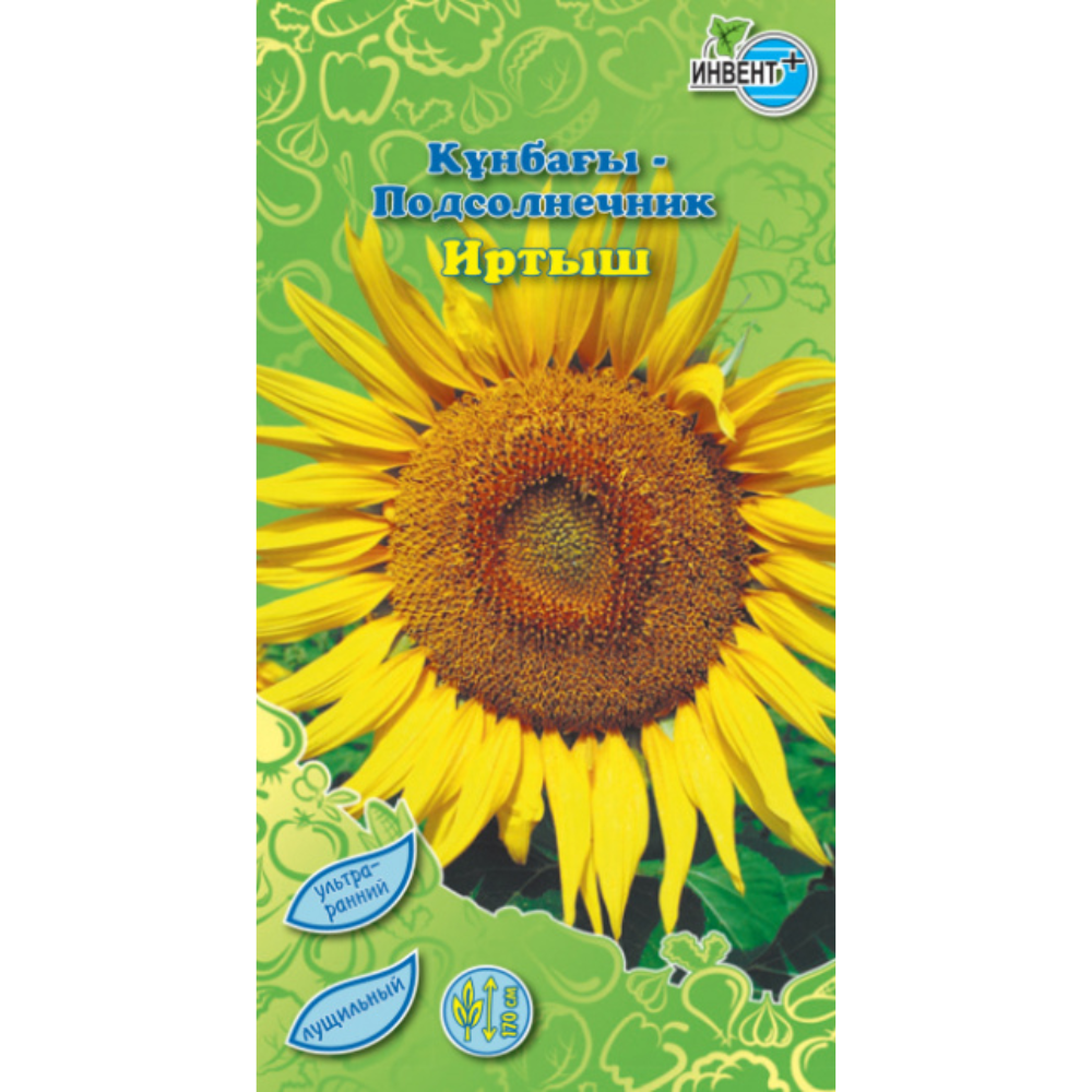 Подсолнечник культурный посевной Иртыш Ивент +