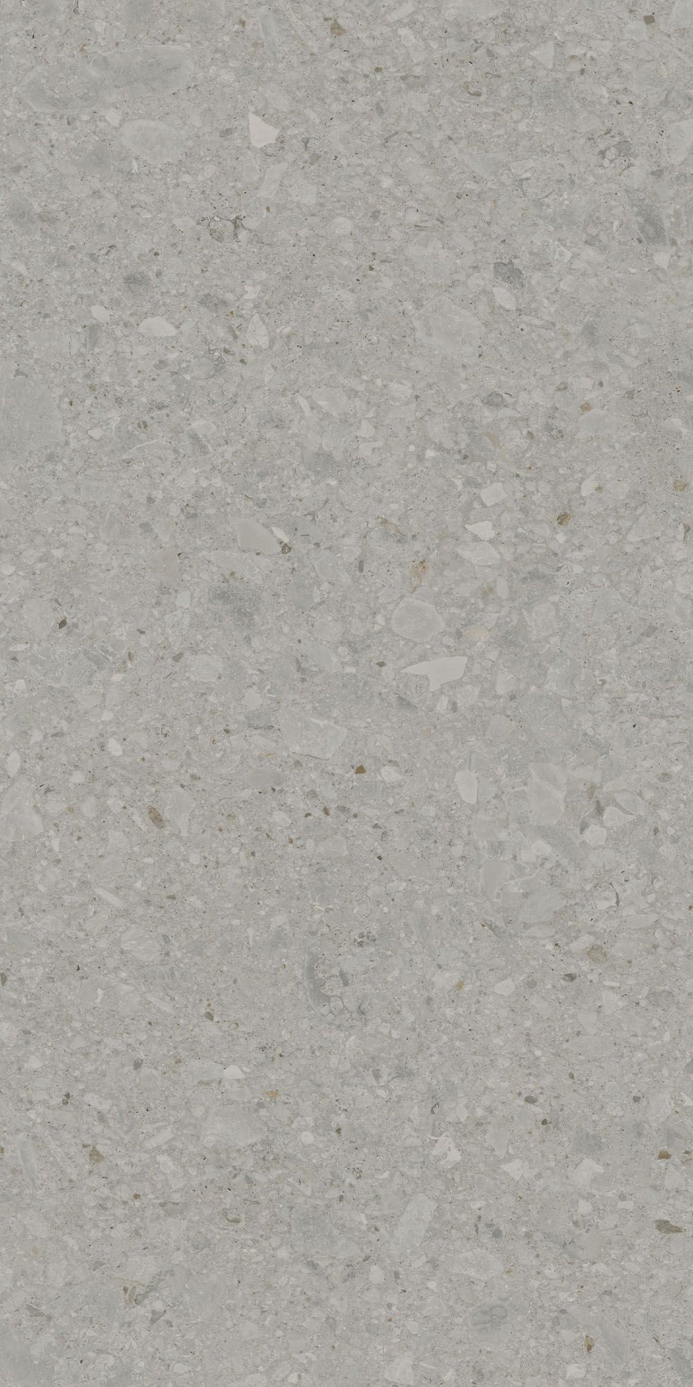 Плитка керамогранит Чеппо ди Гре DD507820R Серый матовый