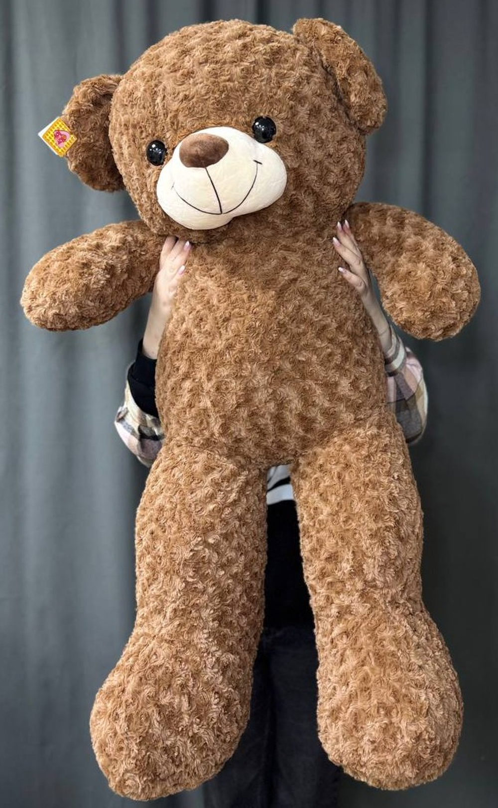 Большой коричневый медведь