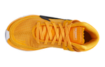 Кроссовки Nike Kd 13 Tb "University Gold" 13