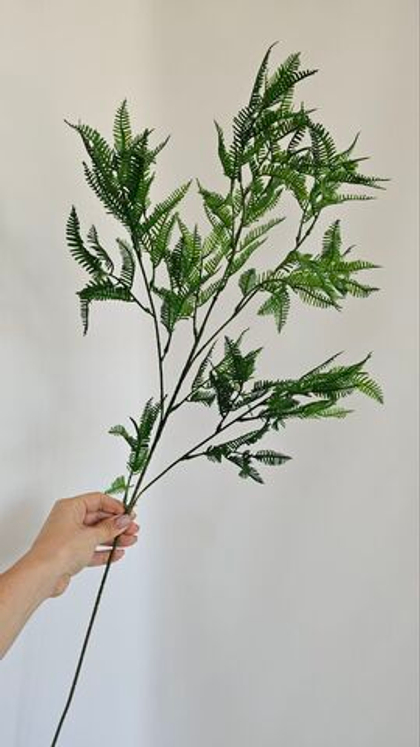 Папоротник мелколистный на стебле / Арт 5160