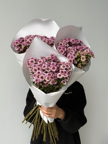 Охапка кустовых хризантем в розовом оттенке данте дейзи 10 шт