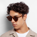 Очки солнцезащитные WHITELAB Icon Brown / Brown
