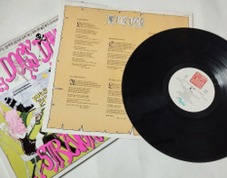 Винтажная виниловая пластинка LP The Dogs DAmour Straight (UK 1990)