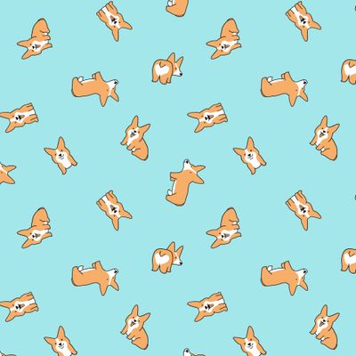 Вельш корги на мятном