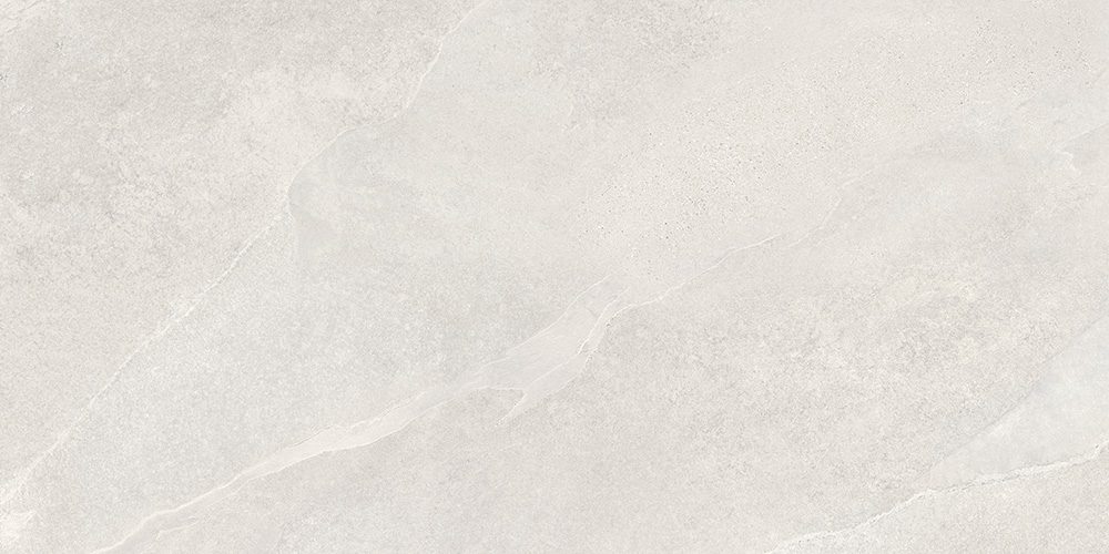 60x120 SlateStone Белый Матовый R10B Ректификат