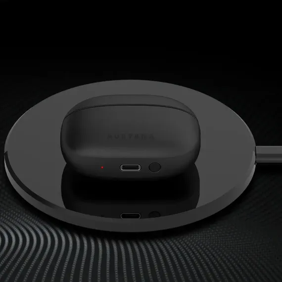 Creative Aurvana Ace Black Copper