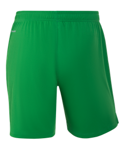 Шорты вратарские JOGEL NATIONAL PerFormDRY GK Shorts, зеленый