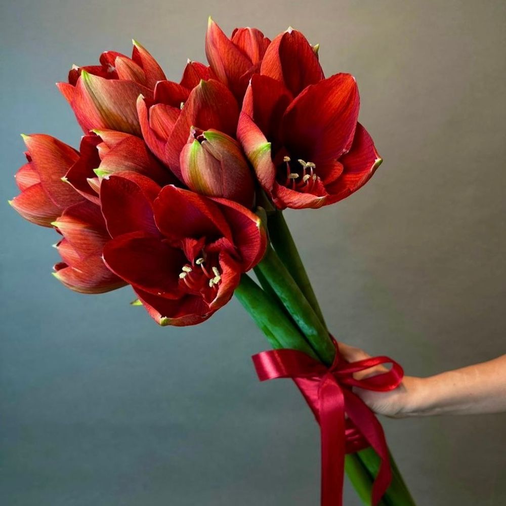 Букет цветов из 5 красных амариллисов