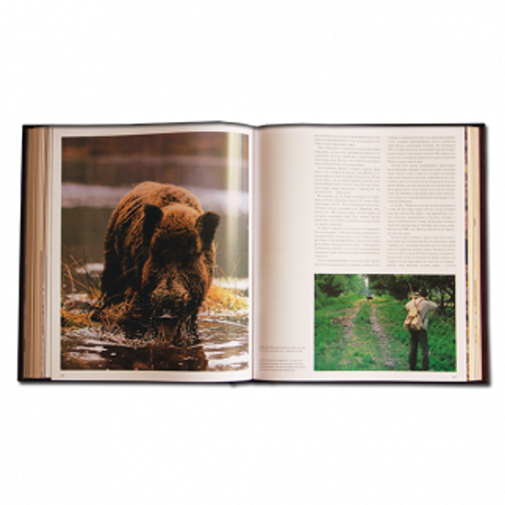 "Охота" Курт Блюхель. Подарочная книга в кожаном переплете
