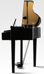 Цифровой рояль KAWAI DG30 EP