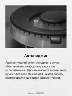 Газовая плита Hansa FCGX53023