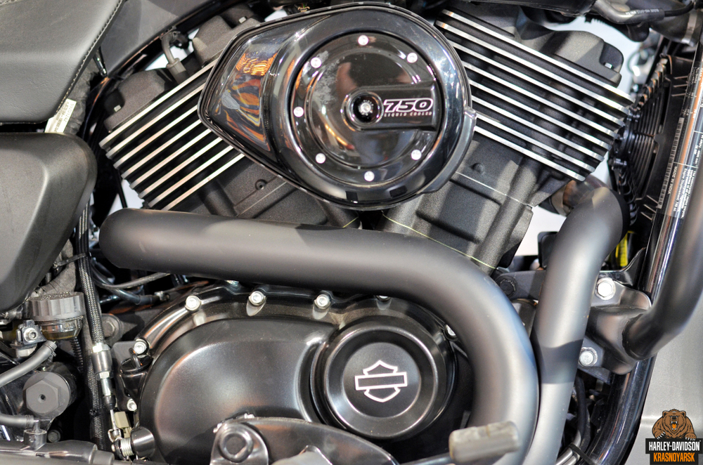 Harley-Davidson Street 750, 2020