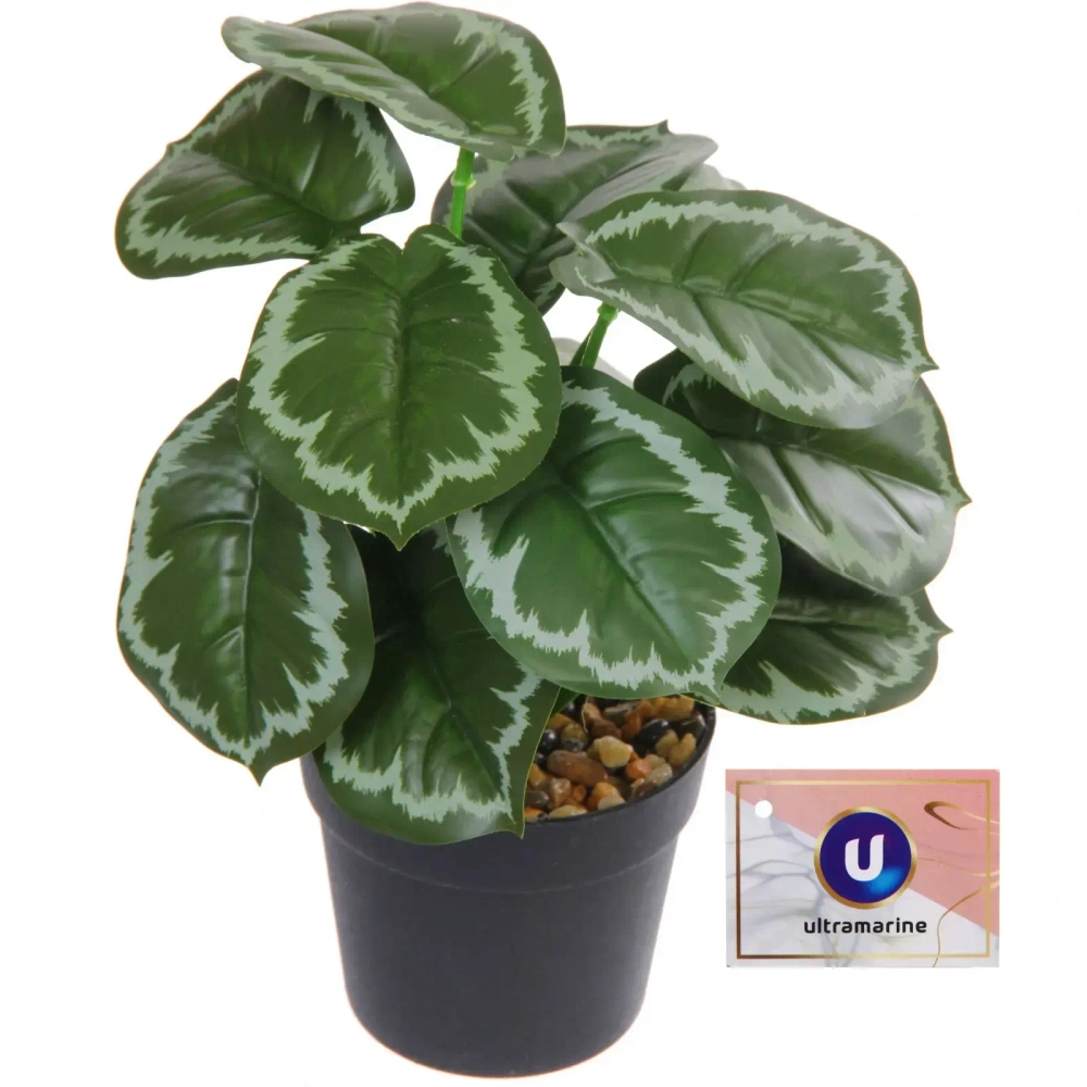 Цветок искусственный в горшке «Сингониум» 22см