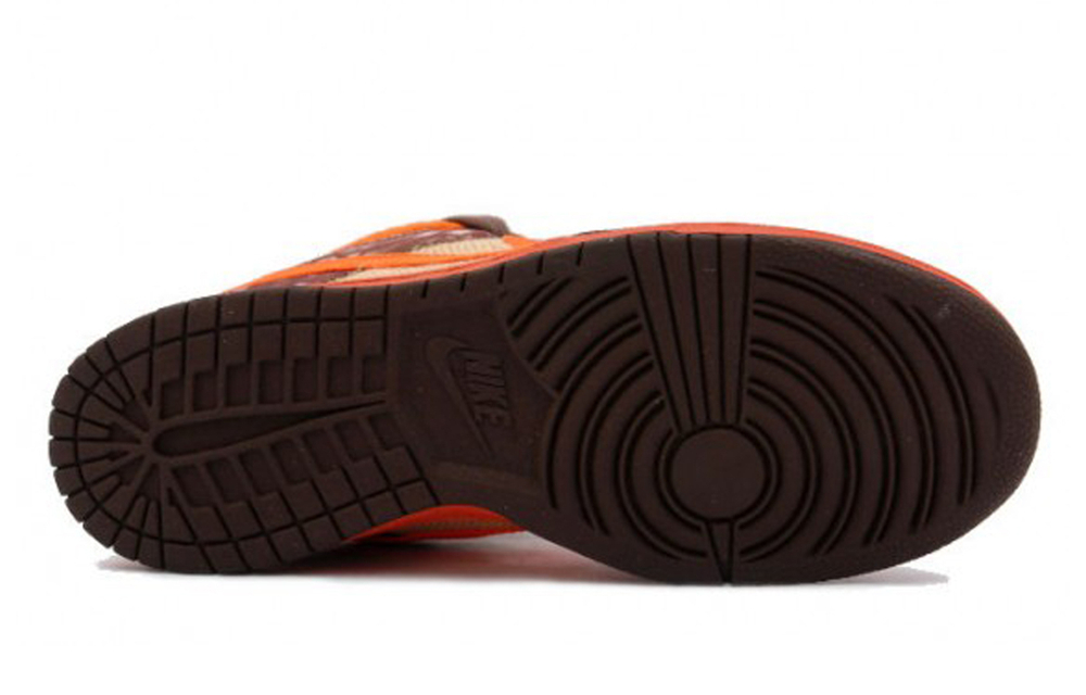 Кроссовки Nike Dunk Sb Reese Forbes
