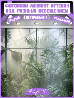 3D Фотообои окно в туманный тропический лес