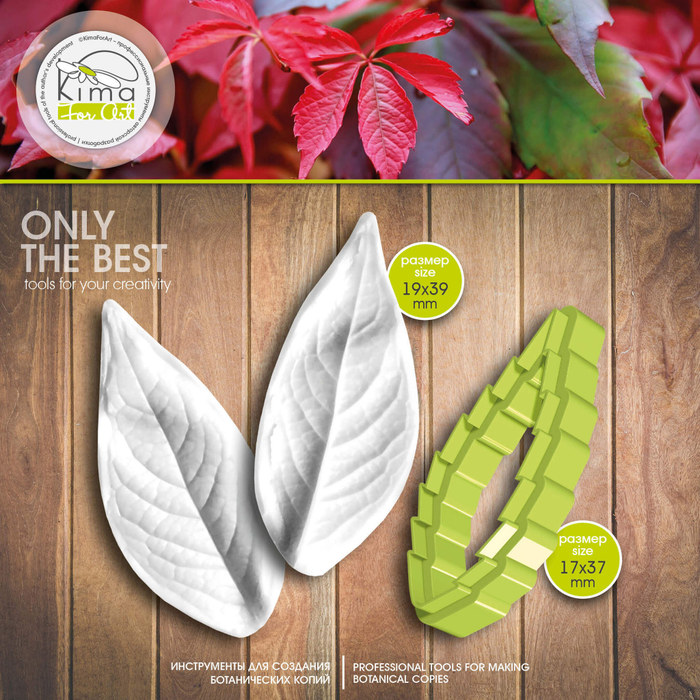 Девичий виноград лист очень маленький