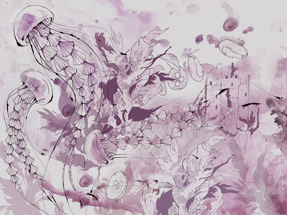 Коллекция JELLY