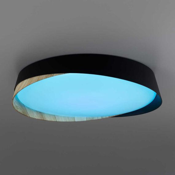Светильник потолочный Citilux BONNY CL754351G
