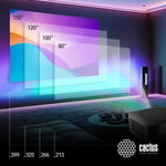Проектор Cactus CS-E2.SG