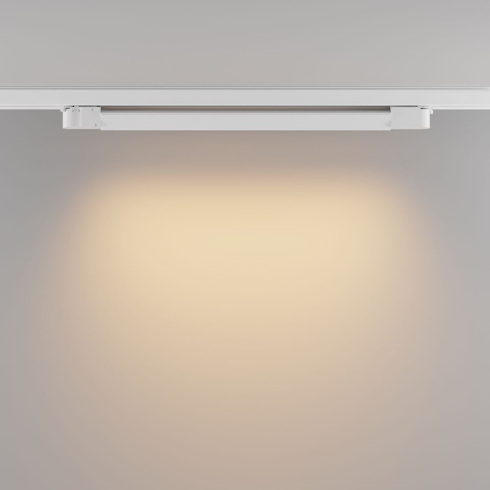 Трековый трехфазный светильник Maytoni Basis TR196-3-20W2.7K-W