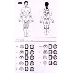 Массажер для тела «Slim body» универсальный (5 насадок), 220В