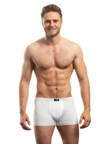 Хлопковые мужские трусы-боксеры (Размер: L) (Цвет: зеленый)