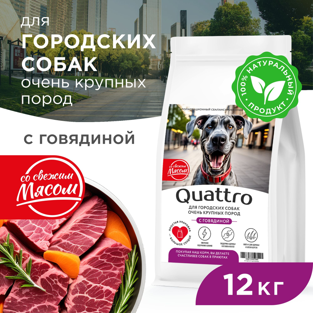 Корм сухой для взрослых собак очень крупных пород, премиум полнорационный комплекс, для городских собак, с говядиной, 12 кг, QUATTRO