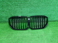 Решетка радиатора BMW X5 G05 (2018-2023)