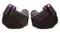 Campfire Audio Fathom Black