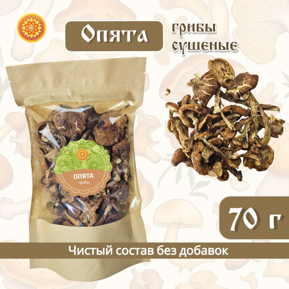 Грибы сушеные опята.