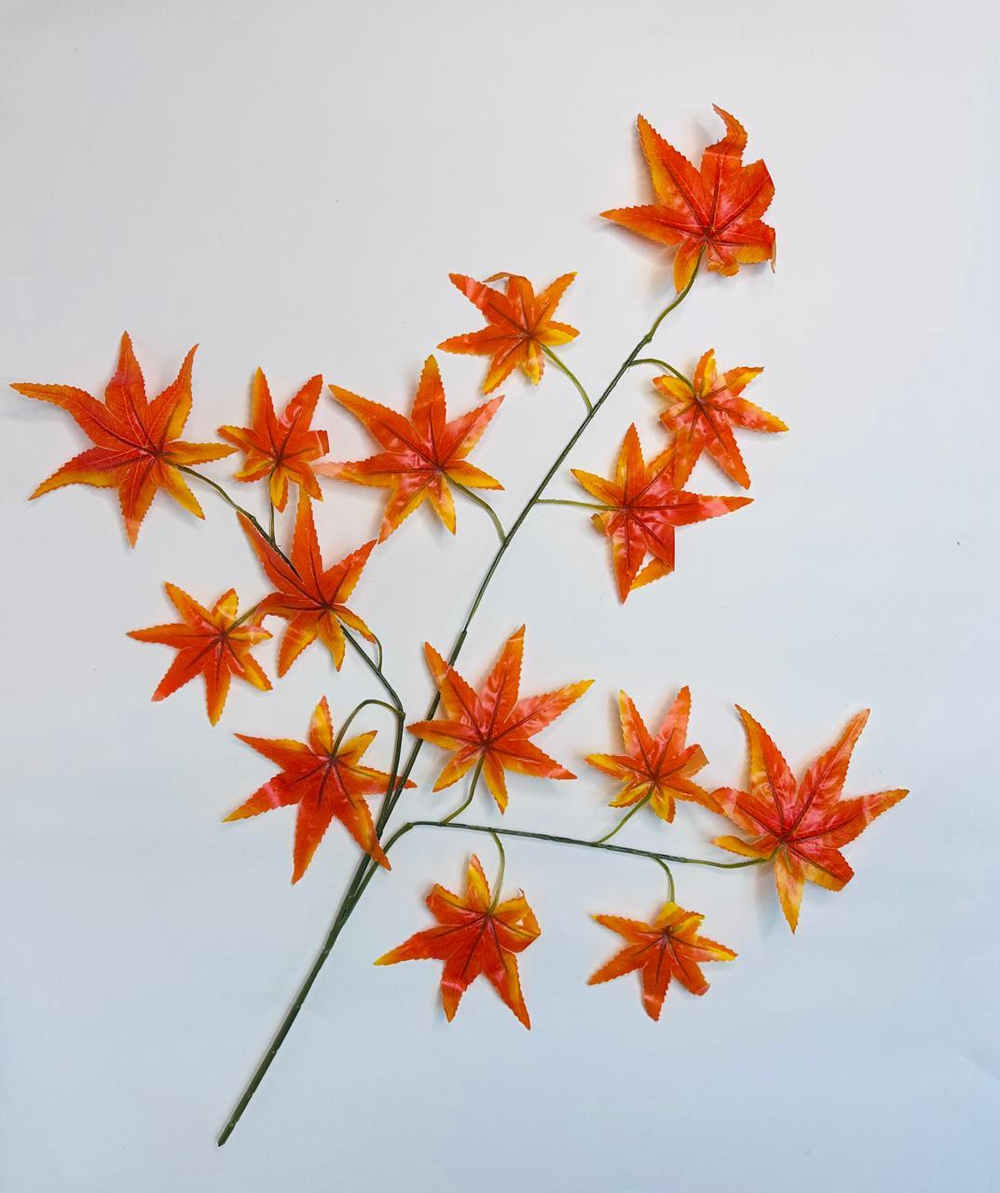 Листья клен